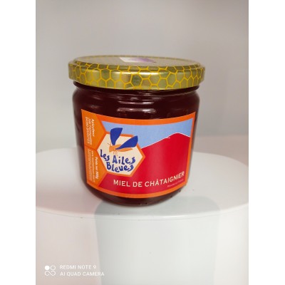 Miel de Châtaigner 500g apiculteur Brantes