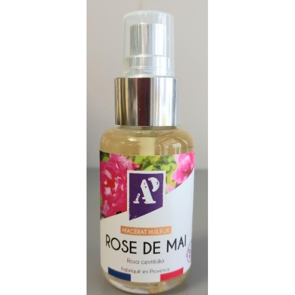 Macérat de rose de mai Centifolia